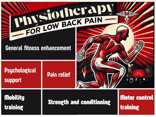 Physiotherapy for low back pain infographic