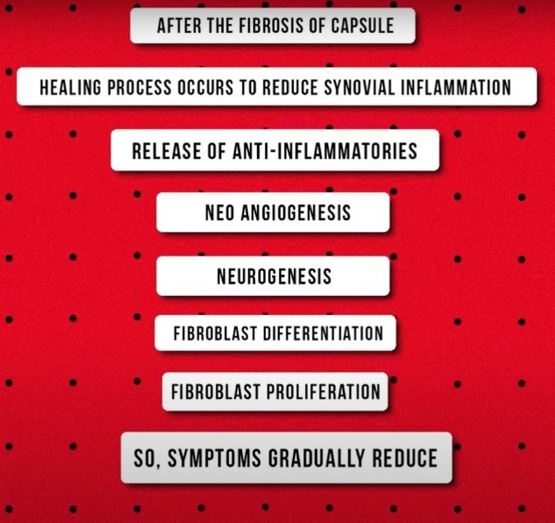 stage 3 of pathophysiology of frozen shoulder