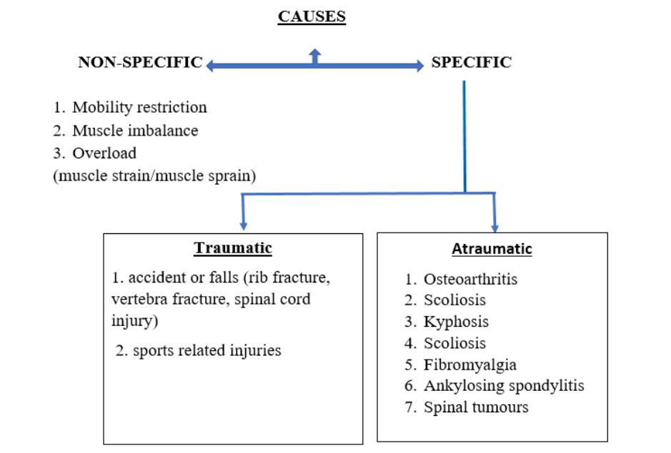 causes of midback pain