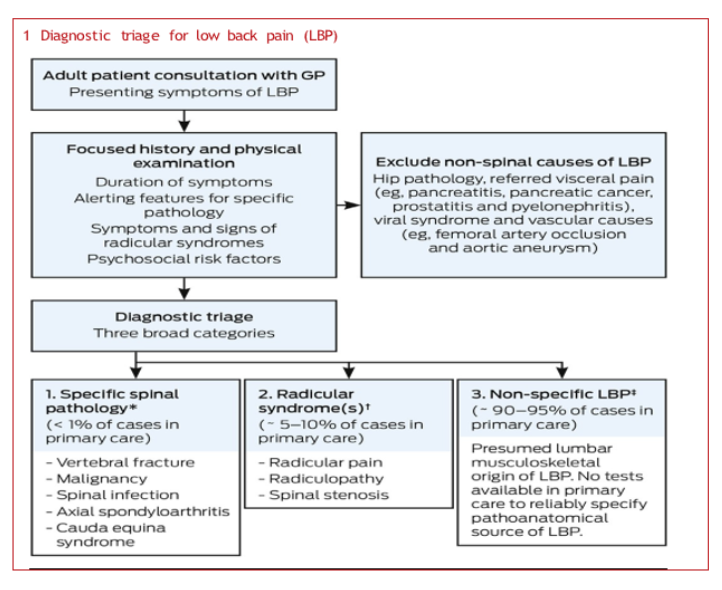 diagnostic triage for lbp
