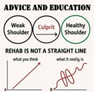 advice and education