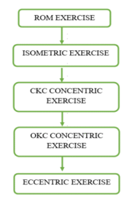eccentric exercise slap tear