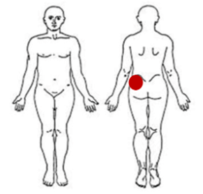 explore load & capacity case study