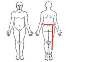 pain analysis spine