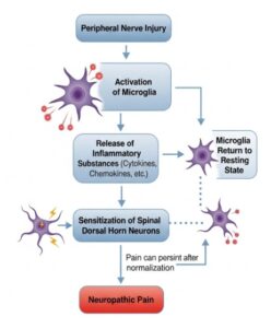peripheral nerve injury