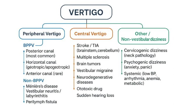 vertigo chart