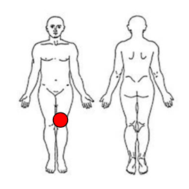 acl non surgical rehab