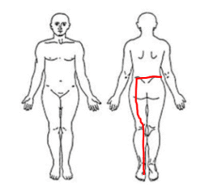painn analysis case study